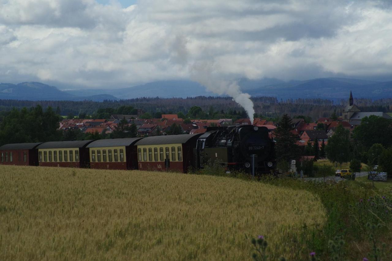 Ferienwohnung Schuur - Harz Hasselfelde Eksteriør billede